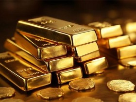 红旗国悦10座价格多少钱一辆