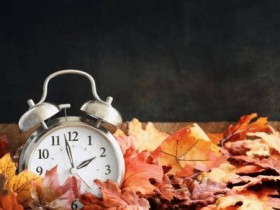 必须指出的是,丰田海狮10座商务版现车 丰田海狮现车多少钱